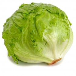 Lechuga 