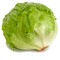 Lechuga 