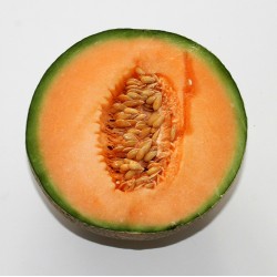 Melón 