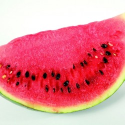 Sandia 