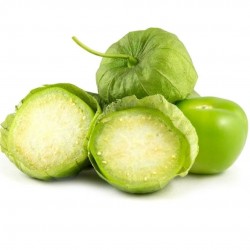 Tomate verde 